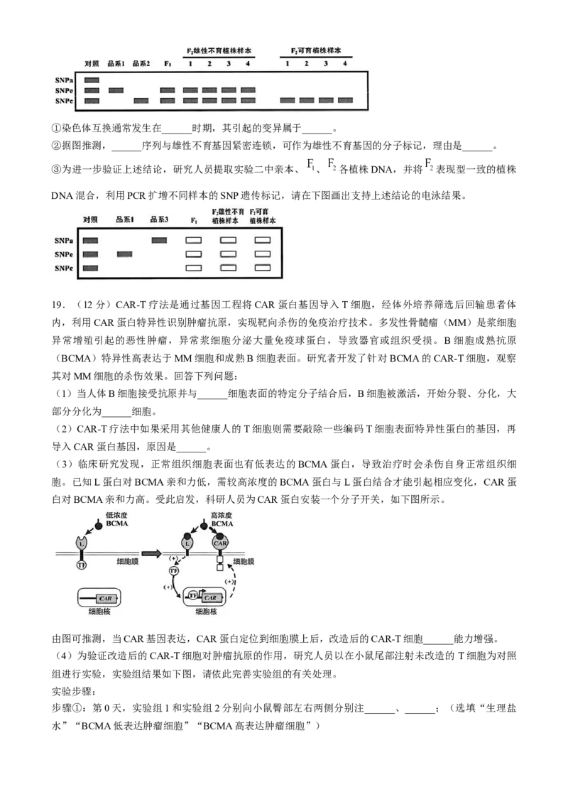 2025届福建省龙岩市高三下学期高中毕业班3月教学质量检测生物学试题（含答案）_2025年3月_250310福建省龙岩市2025届高三下学期3月教学质量检测（全科）