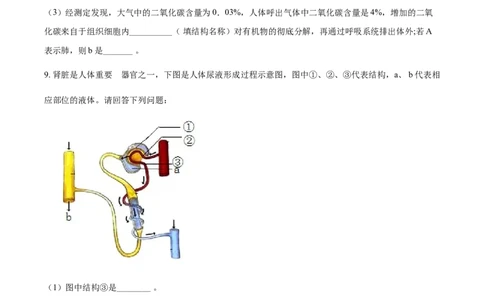 精品解析：四川泸州2021年中考生物试题（原卷版）_中考真题_8.生物中考真题2015-2024年_2021中考生物真题64份_2021四川_精品解析：四川泸州2021年中考生物试题