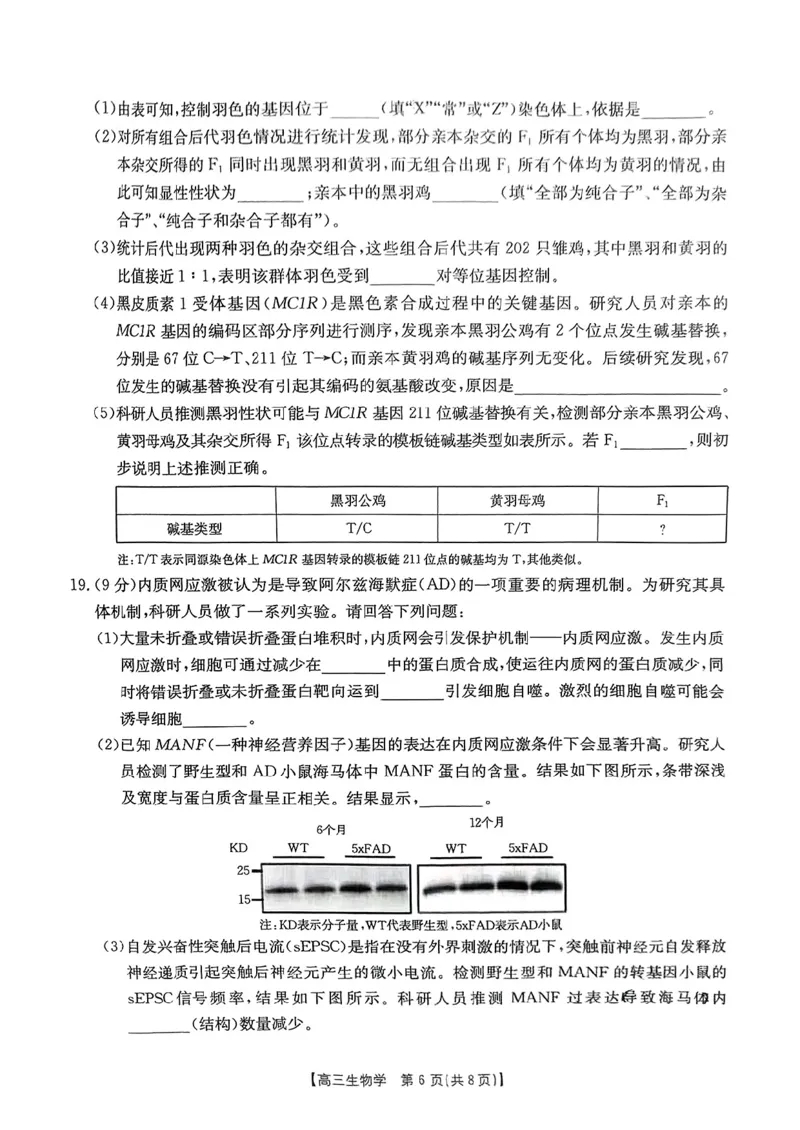 2025年广东省湛江市普通高考第二次调研测试(二模)生物试卷_2025年4月_2504182025届广东省湛江市高三下学期4月二模（全科）_2025届广东省湛江市高三下学期4月二模生物