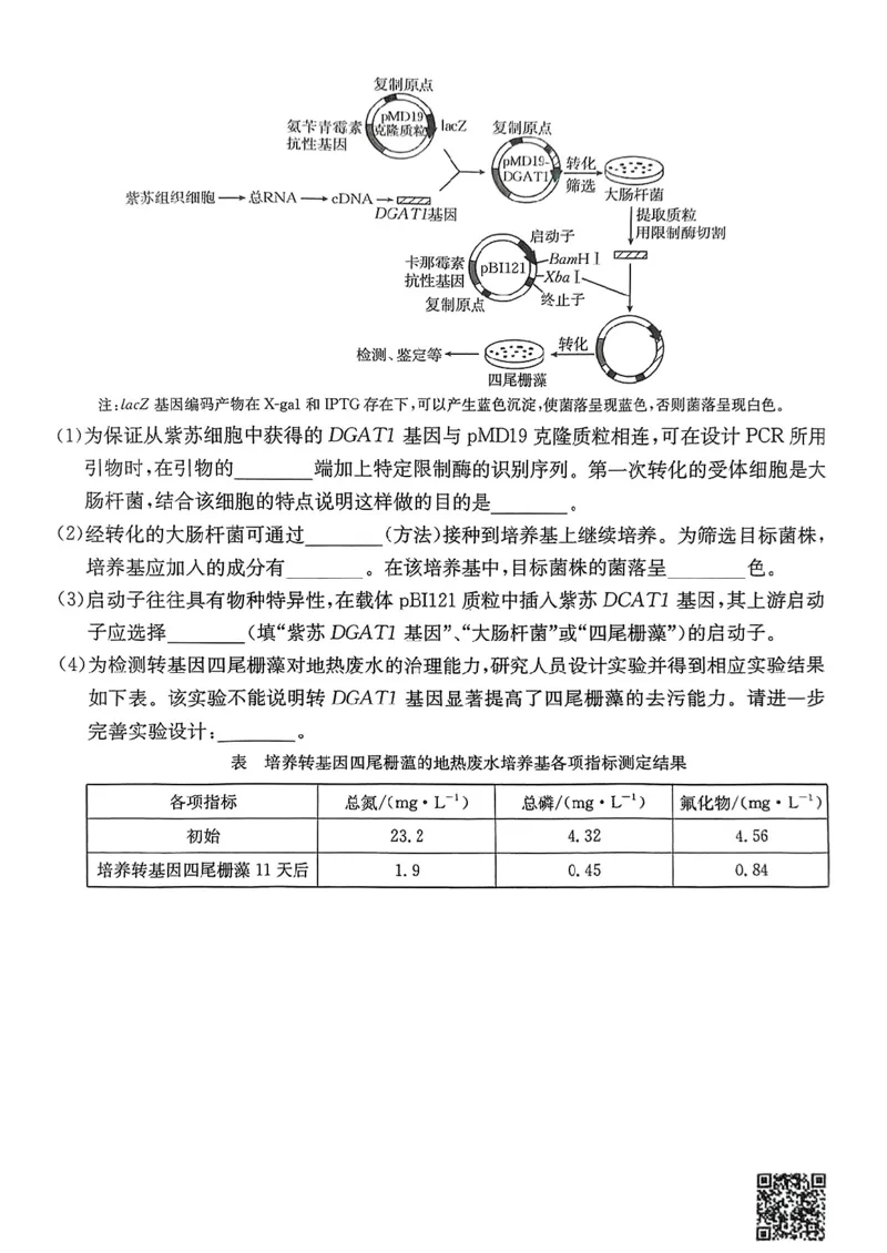 2025年广东省湛江市普通高考第二次调研测试(二模)生物试卷_2025年4月_2504182025届广东省湛江市高三下学期4月二模（全科）_2025届广东省湛江市高三下学期4月二模生物