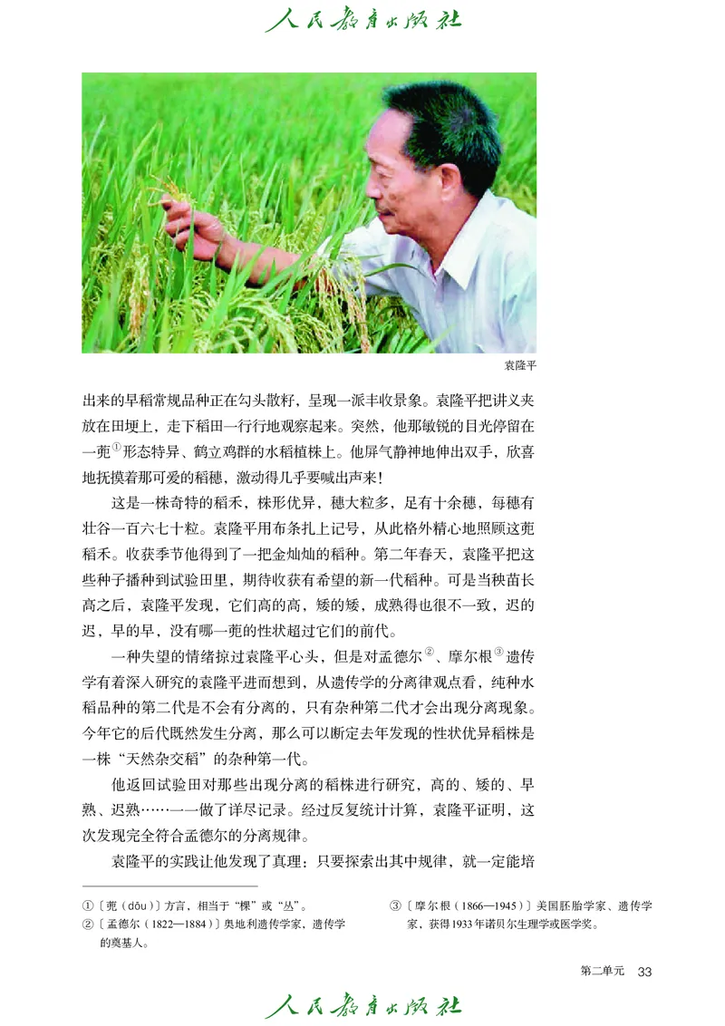 高中语文必修上册(1)_4-教培资料-26年最新资料-同步更新_初中高中教资_03科三专项（进去保存报考的学科即可）_02科三专项（笔记真题思维导图教学设计版本二）_02语文教材