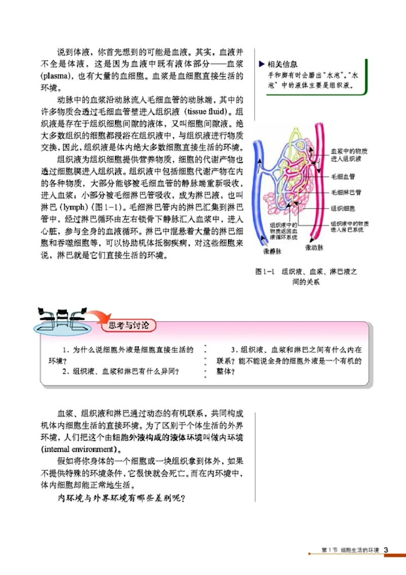 高中生物必修3稳态与环境_4-教培资料-26年最新资料-同步更新_初中高中教资_03科三专项（进去保存报考的学科即可）_02科三专项（笔记真题思维导图教学设计版本二）