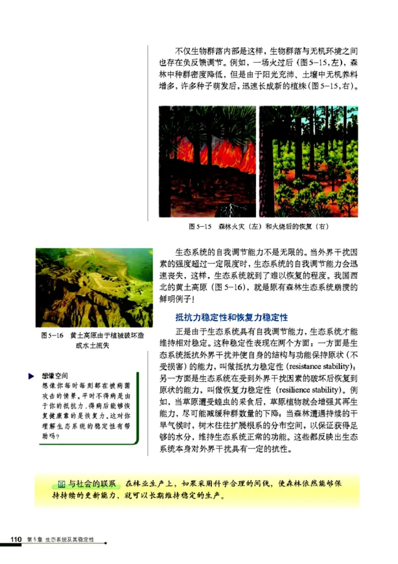 高中生物必修3稳态与环境_4-教培资料-26年最新资料-同步更新_初中高中教资_03科三专项（进去保存报考的学科即可）_02科三专项（笔记真题思维导图教学设计版本二）