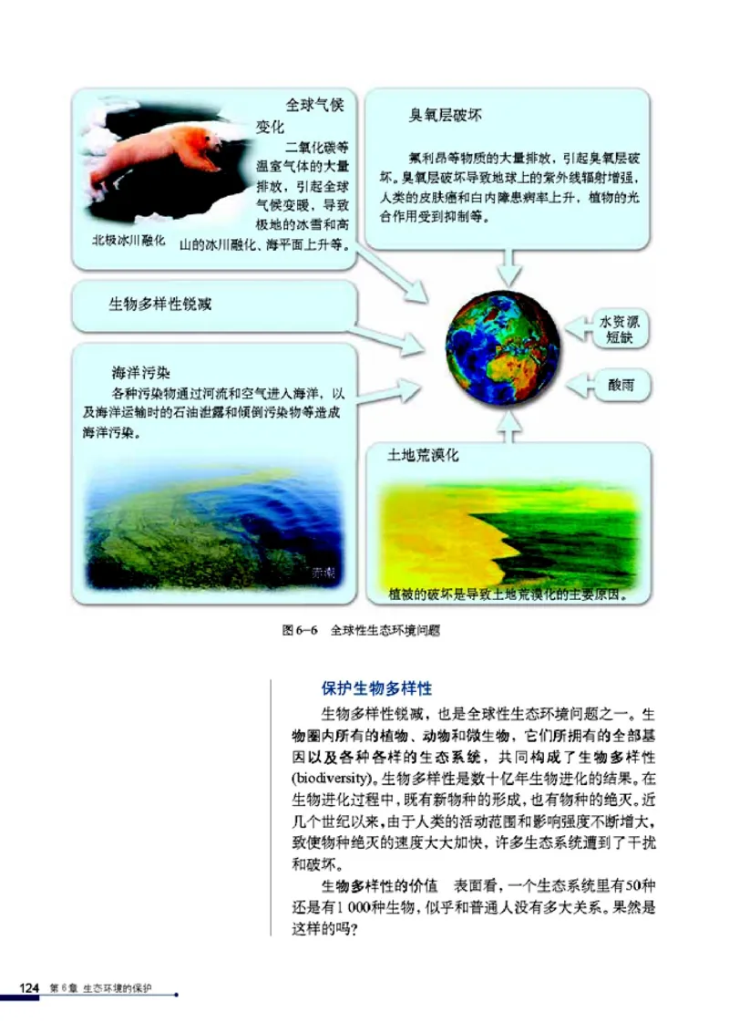 高中生物必修3稳态与环境_4-教培资料-26年最新资料-同步更新_初中高中教资_03科三专项（进去保存报考的学科即可）_02科三专项（笔记真题思维导图教学设计版本二）