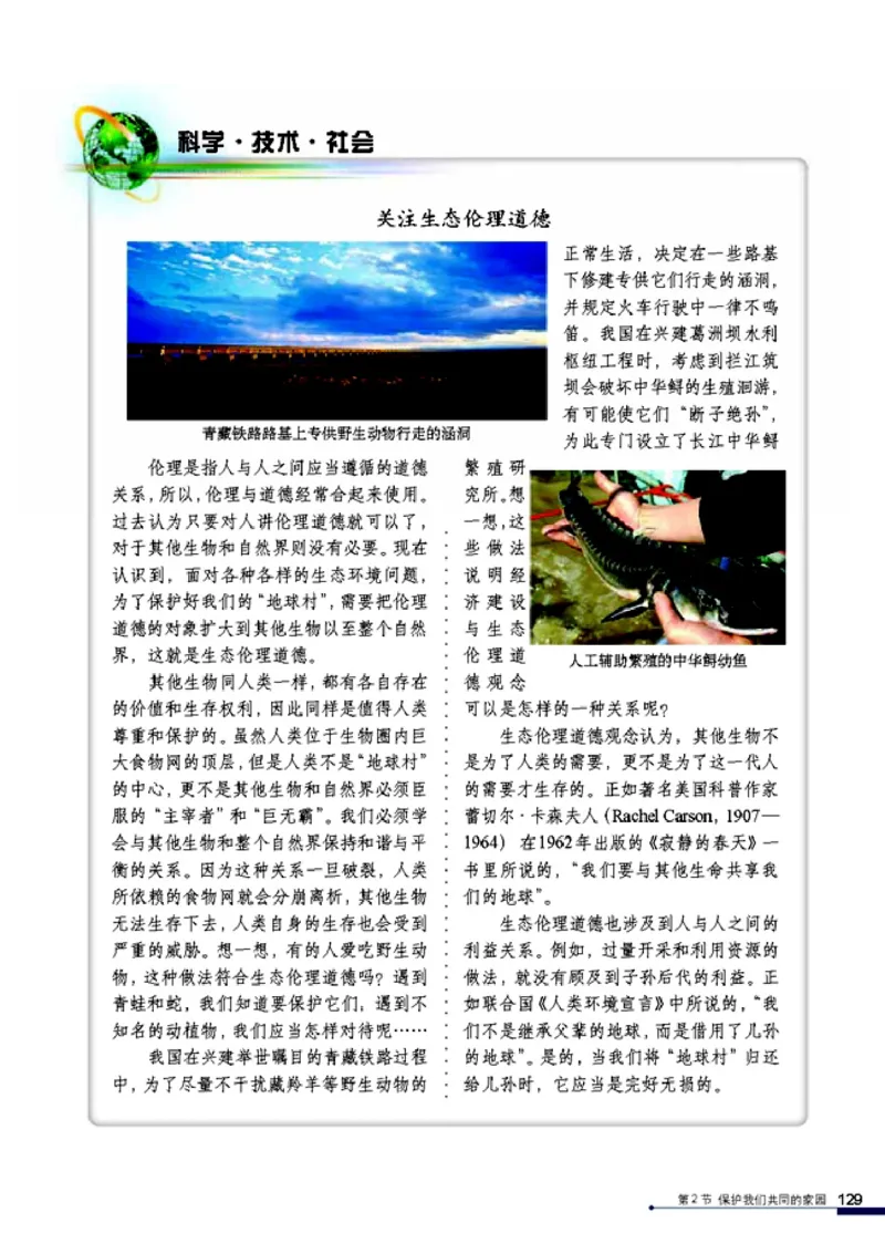 高中生物必修3稳态与环境_4-教培资料-26年最新资料-同步更新_初中高中教资_03科三专项（进去保存报考的学科即可）_02科三专项（笔记真题思维导图教学设计版本二）