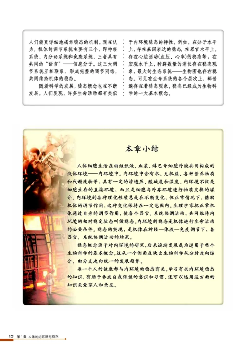 高中生物必修3稳态与环境_4-教培资料-26年最新资料-同步更新_初中高中教资_03科三专项（进去保存报考的学科即可）_02科三专项（笔记真题思维导图教学设计版本二）