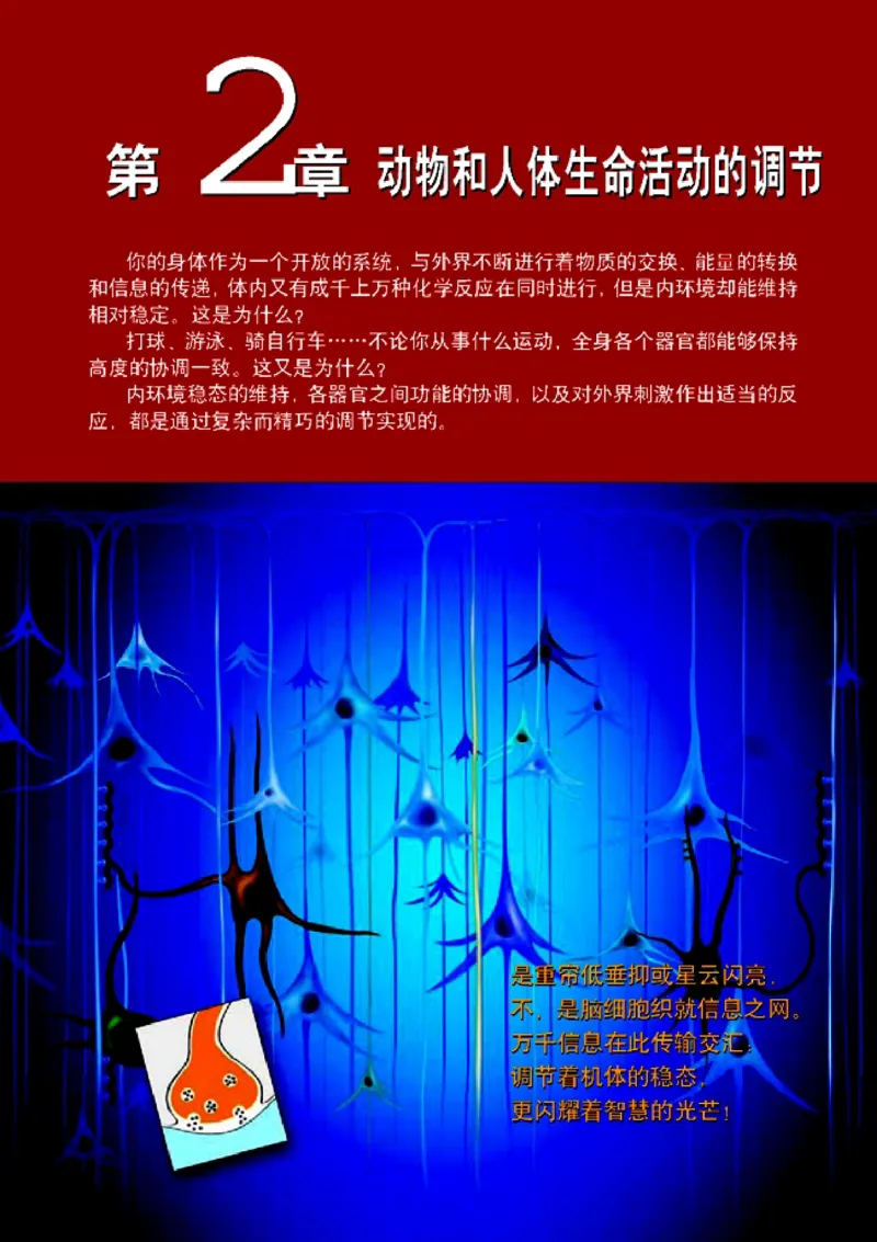 高中生物必修3稳态与环境_4-教培资料-26年最新资料-同步更新_初中高中教资_03科三专项（进去保存报考的学科即可）_02科三专项（笔记真题思维导图教学设计版本二）