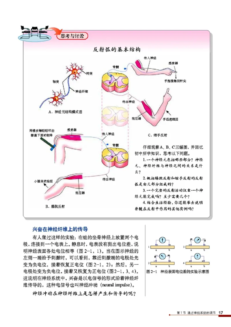 高中生物必修3稳态与环境_4-教培资料-26年最新资料-同步更新_初中高中教资_03科三专项（进去保存报考的学科即可）_02科三专项（笔记真题思维导图教学设计版本二）