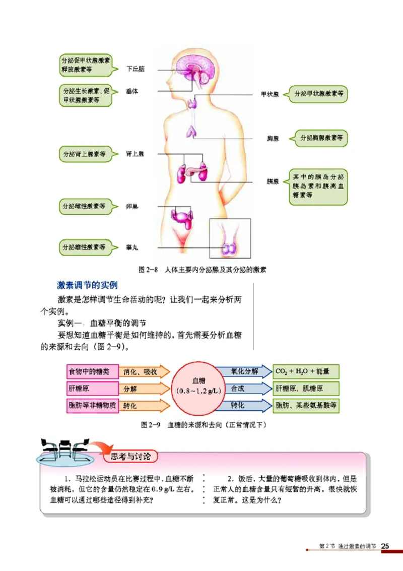 高中生物必修3稳态与环境_4-教培资料-26年最新资料-同步更新_初中高中教资_03科三专项（进去保存报考的学科即可）_02科三专项（笔记真题思维导图教学设计版本二）