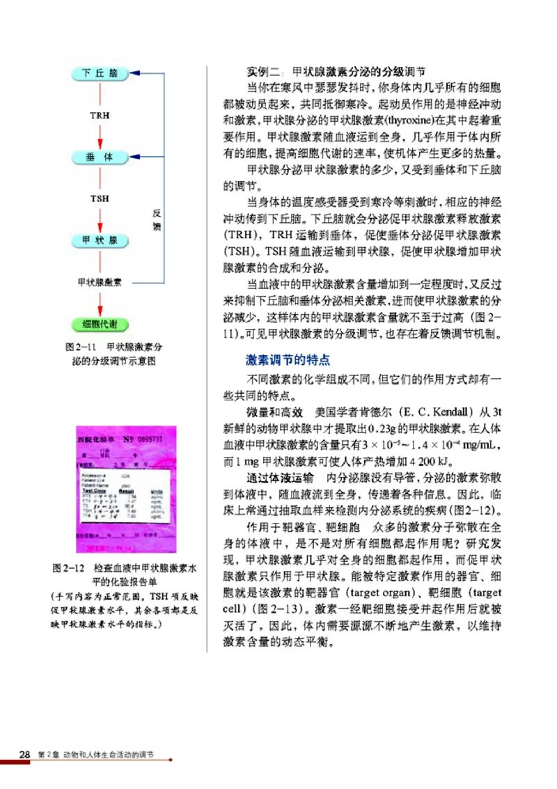 高中生物必修3稳态与环境_4-教培资料-26年最新资料-同步更新_初中高中教资_03科三专项（进去保存报考的学科即可）_02科三专项（笔记真题思维导图教学设计版本二）