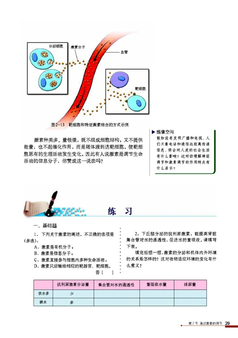 高中生物必修3稳态与环境_4-教培资料-26年最新资料-同步更新_初中高中教资_03科三专项（进去保存报考的学科即可）_02科三专项（笔记真题思维导图教学设计版本二）