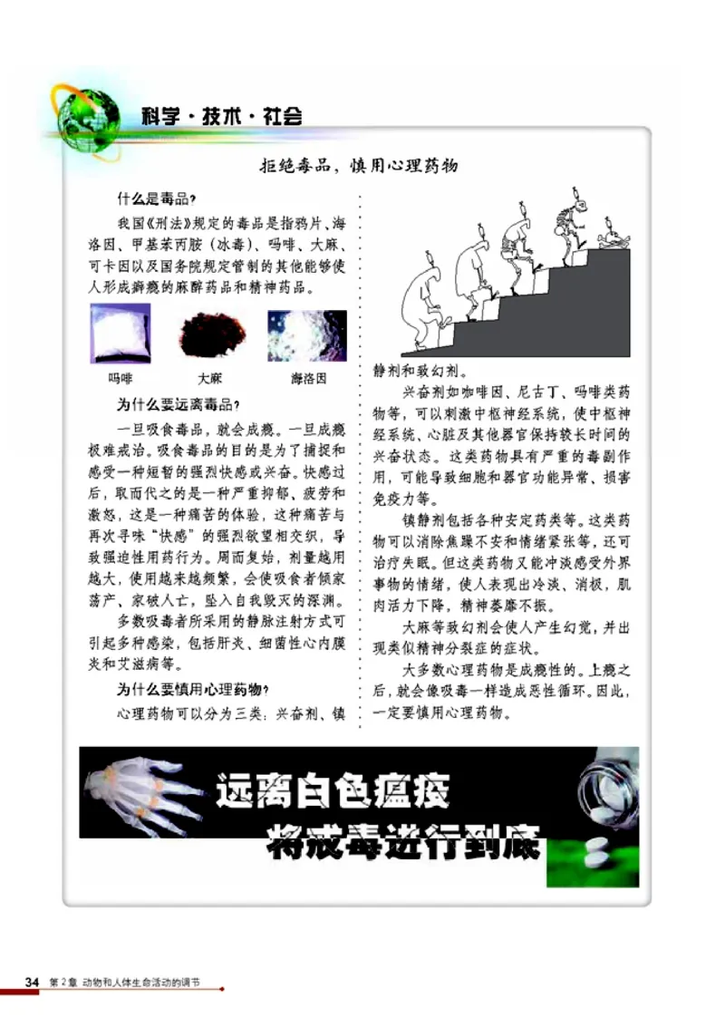 高中生物必修3稳态与环境_4-教培资料-26年最新资料-同步更新_初中高中教资_03科三专项（进去保存报考的学科即可）_02科三专项（笔记真题思维导图教学设计版本二）