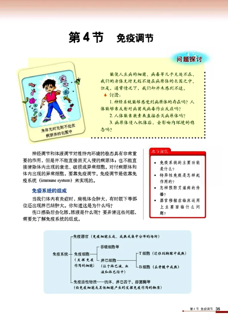 高中生物必修3稳态与环境_4-教培资料-26年最新资料-同步更新_初中高中教资_03科三专项（进去保存报考的学科即可）_02科三专项（笔记真题思维导图教学设计版本二）