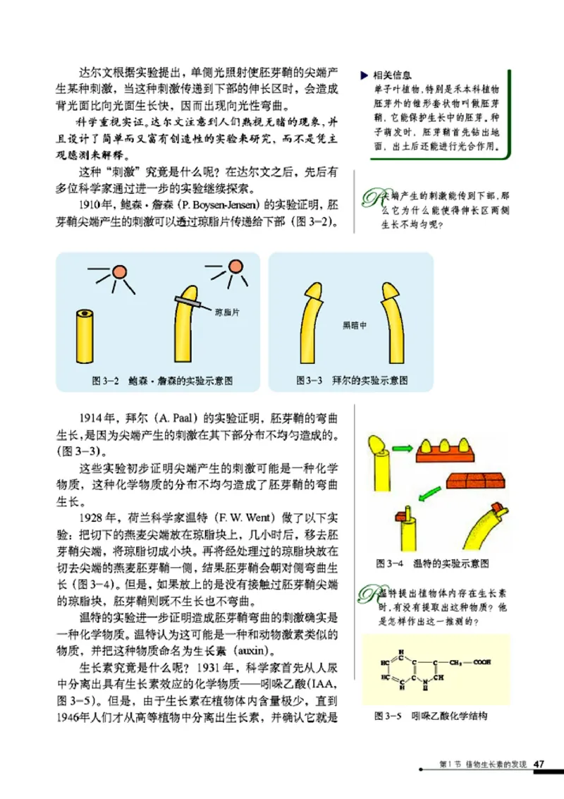 高中生物必修3稳态与环境_4-教培资料-26年最新资料-同步更新_初中高中教资_03科三专项（进去保存报考的学科即可）_02科三专项（笔记真题思维导图教学设计版本二）