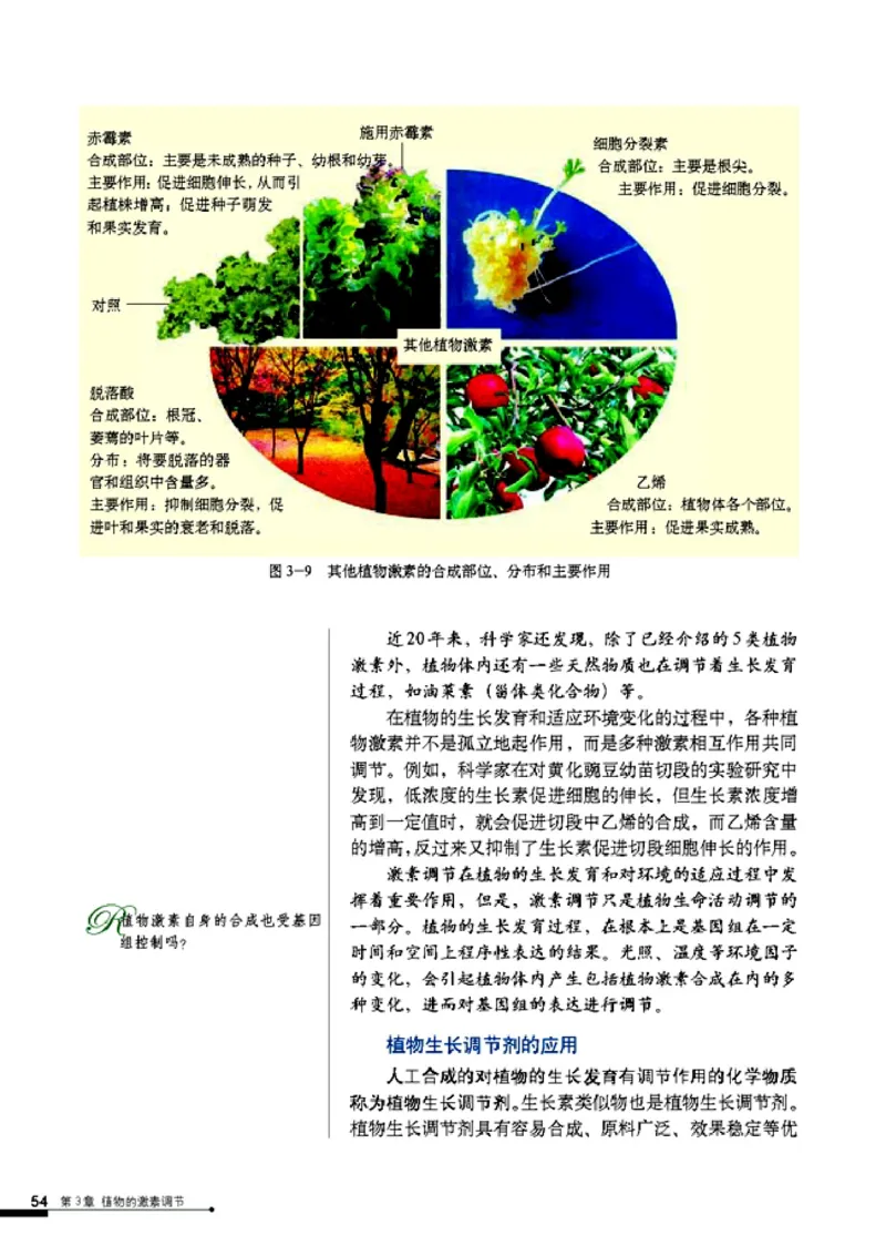高中生物必修3稳态与环境_4-教培资料-26年最新资料-同步更新_初中高中教资_03科三专项（进去保存报考的学科即可）_02科三专项（笔记真题思维导图教学设计版本二）