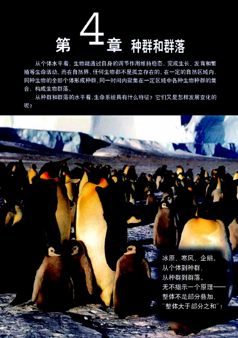 高中生物必修3稳态与环境_4-教培资料-26年最新资料-同步更新_初中高中教资_03科三专项（进去保存报考的学科即可）_02科三专项（笔记真题思维导图教学设计版本二）