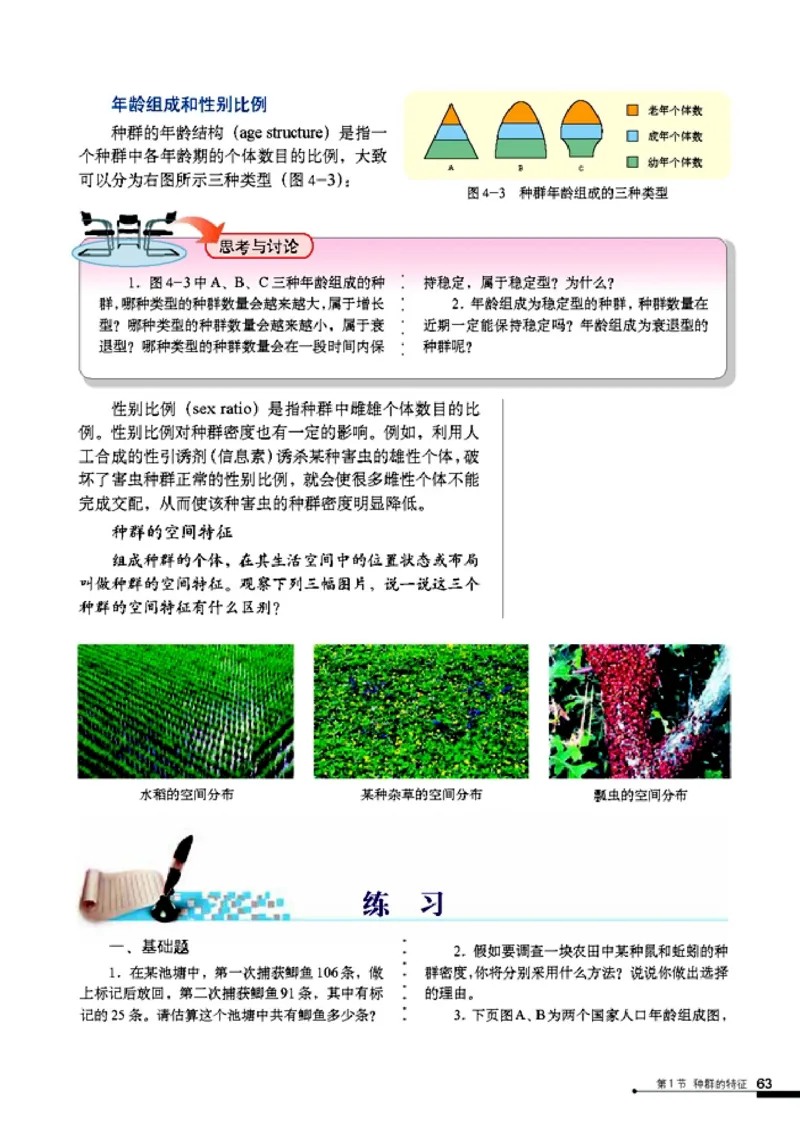 高中生物必修3稳态与环境_4-教培资料-26年最新资料-同步更新_初中高中教资_03科三专项（进去保存报考的学科即可）_02科三专项（笔记真题思维导图教学设计版本二）