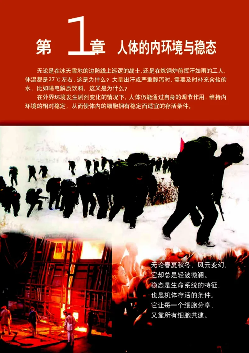 高中生物必修3稳态与环境_4-教培资料-26年最新资料-同步更新_初中高中教资_03科三专项（进去保存报考的学科即可）_02科三专项（笔记真题思维导图教学设计版本二）