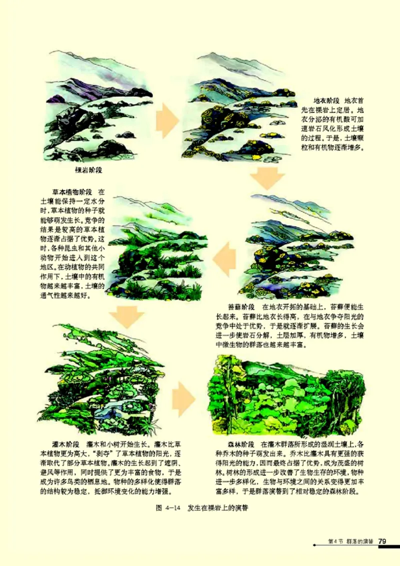 高中生物必修3稳态与环境_4-教培资料-26年最新资料-同步更新_初中高中教资_03科三专项（进去保存报考的学科即可）_02科三专项（笔记真题思维导图教学设计版本二）