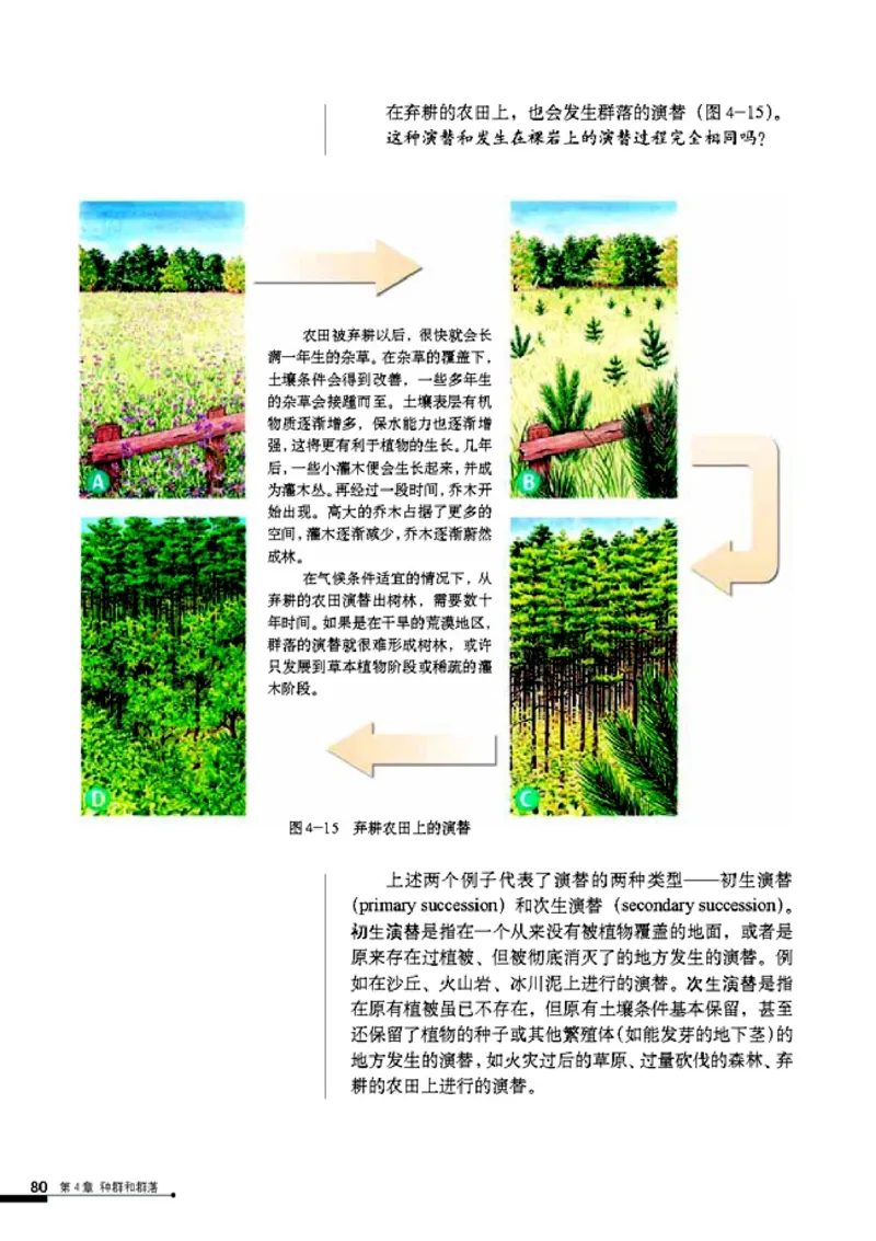 高中生物必修3稳态与环境_4-教培资料-26年最新资料-同步更新_初中高中教资_03科三专项（进去保存报考的学科即可）_02科三专项（笔记真题思维导图教学设计版本二）