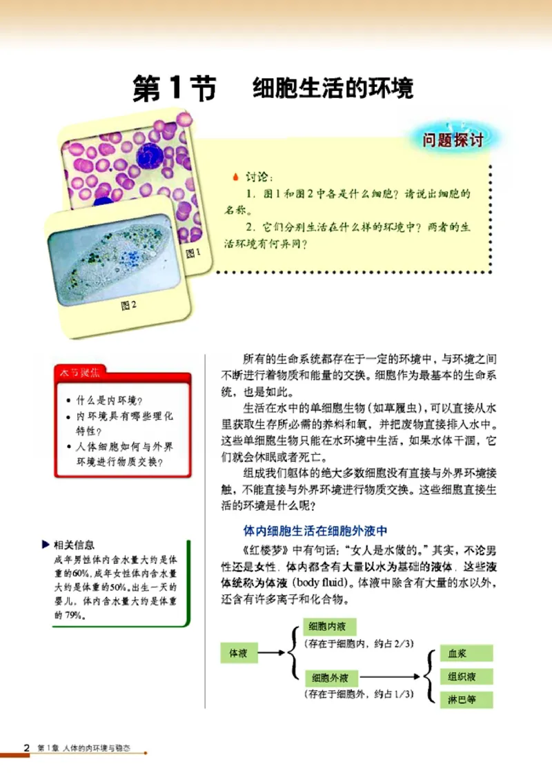 高中生物必修3稳态与环境_4-教培资料-26年最新资料-同步更新_初中高中教资_03科三专项（进去保存报考的学科即可）_02科三专项（笔记真题思维导图教学设计版本二）