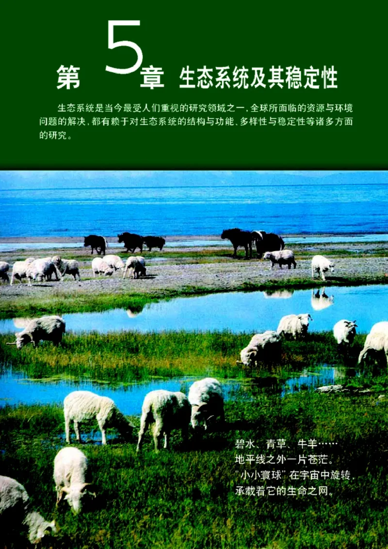 高中生物必修3稳态与环境_4-教培资料-26年最新资料-同步更新_初中高中教资_03科三专项（进去保存报考的学科即可）_02科三专项（笔记真题思维导图教学设计版本二）