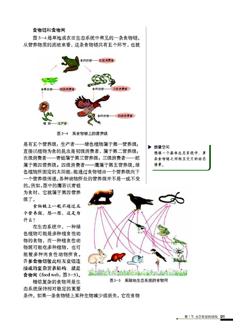 高中生物必修3稳态与环境_4-教培资料-26年最新资料-同步更新_初中高中教资_03科三专项（进去保存报考的学科即可）_02科三专项（笔记真题思维导图教学设计版本二）
