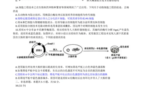 2025《高考真题&bull;安徽》生物真题_2025《全国高考真题卷》各地方卷_2025《高考真题&bull;安徽》