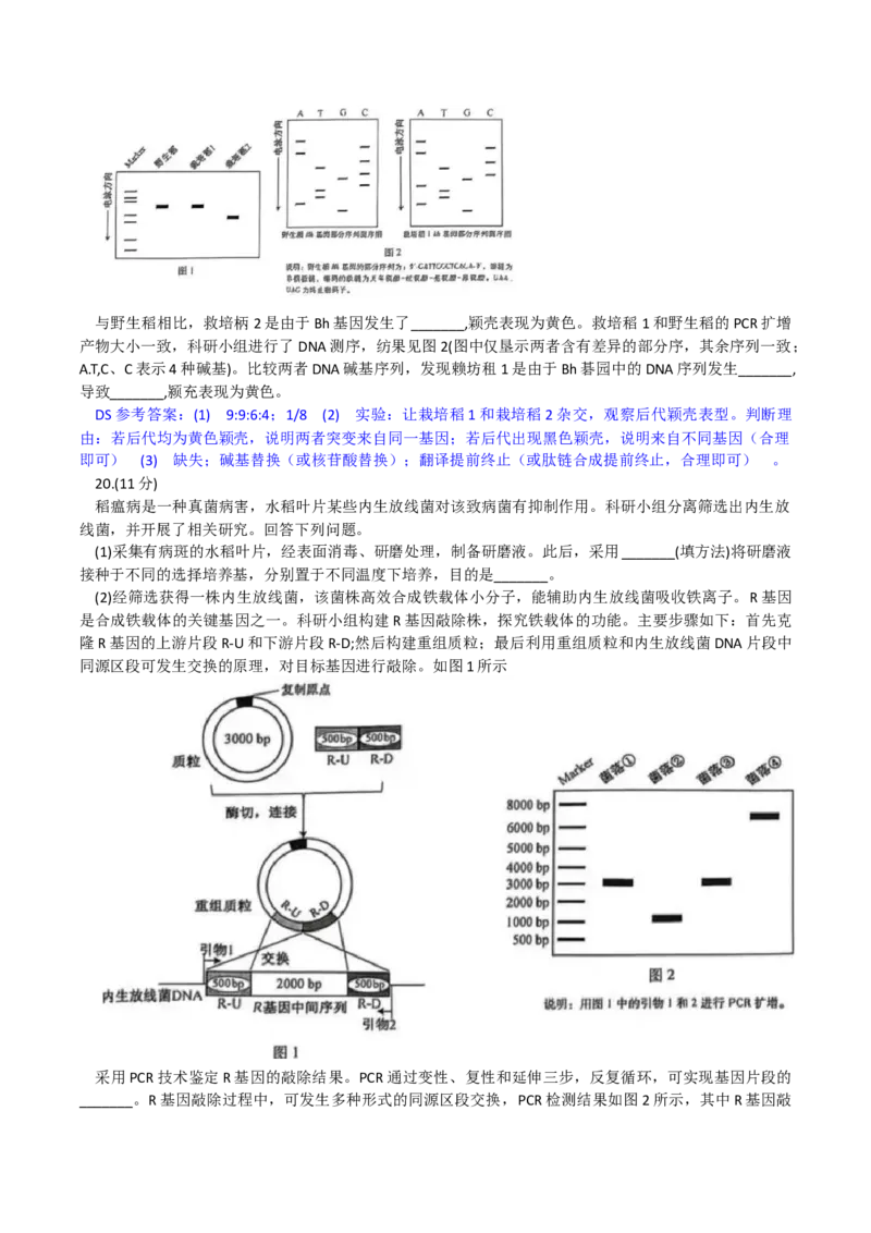 2025《高考真题&bull;安徽》生物真题_2025《全国高考真题卷》各地方卷_2025《高考真题&bull;安徽》