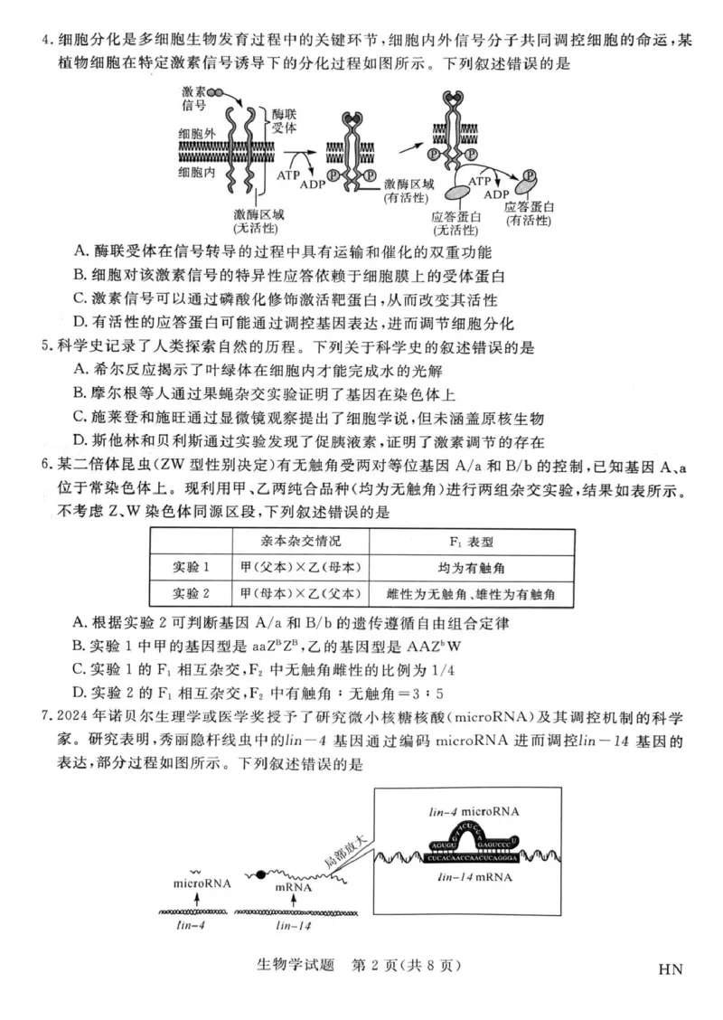 2025届河南省部分重点高中新未来4月大联考模拟预测生物试题_2025年4月_2504122025届河南省金科新未来联考高三下学期4月模拟预测（全科）