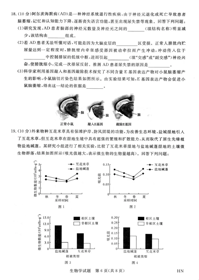 2025届河南省部分重点高中新未来4月大联考模拟预测生物试题_2025年4月_2504122025届河南省金科新未来联考高三下学期4月模拟预测（全科）