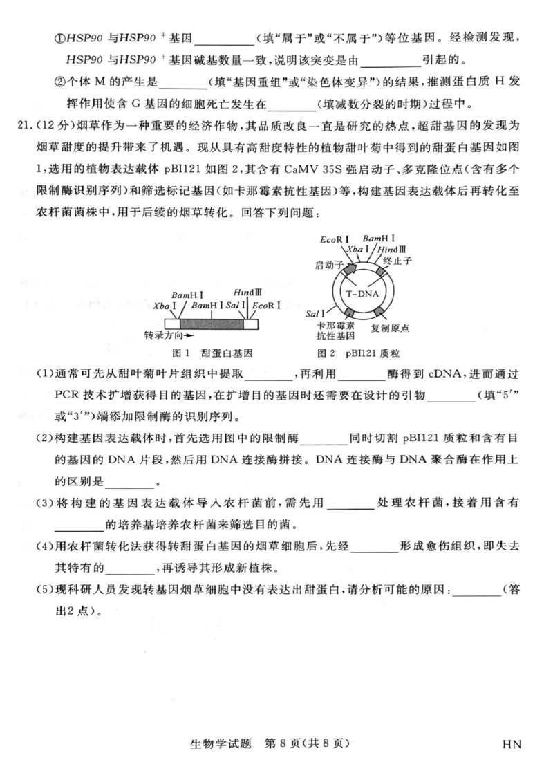 2025届河南省部分重点高中新未来4月大联考模拟预测生物试题_2025年4月_2504122025届河南省金科新未来联考高三下学期4月模拟预测（全科）