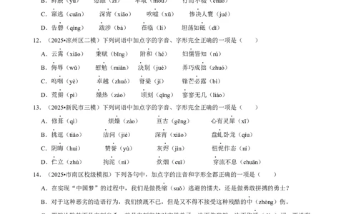 2026年中考语文常考考点专题之字音字形_162026年中考七科常考考点专题资料_001中考语文常考考点专题