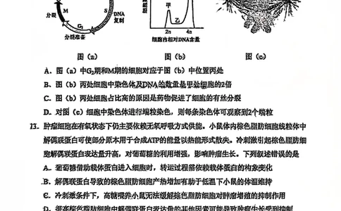 2025年1月山西、陕西、宁夏、青海普通高等学校招生考试适应性测试（八省联考）生物试卷（无答案）_2025年1月_2501062025年高考综合改革适应性演练（八省联考）