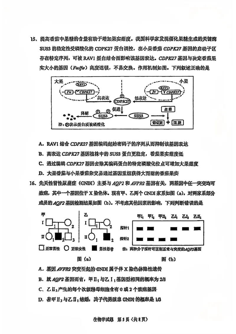 2025年1月山西、陕西、宁夏、青海普通高等学校招生考试适应性测试（八省联考）生物试卷（无答案）_2025年1月_2501062025年高考综合改革适应性演练（八省联考）