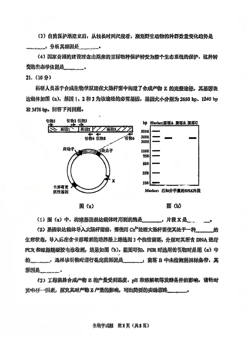 2025年1月山西、陕西、宁夏、青海普通高等学校招生考试适应性测试（八省联考）生物试卷（无答案）_2025年1月_2501062025年高考综合改革适应性演练（八省联考）