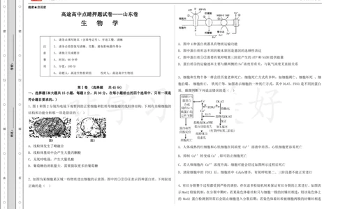 (8.38)-点睛押题卷&mdash;&mdash;山东卷_2024高考押题卷_132024高途全系列_26高途点睛卷_2024点睛密卷-生物