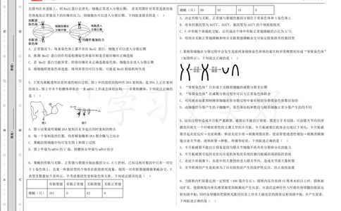 (8.38)-点睛押题卷&mdash;&mdash;山东卷_2024高考押题卷_132024高途全系列_26高途点睛卷_2024点睛密卷-生物