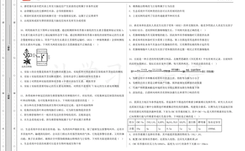 (8.38)-点睛押题卷&mdash;&mdash;山东卷_2024高考押题卷_132024高途全系列_26高途点睛卷_2024点睛密卷-生物