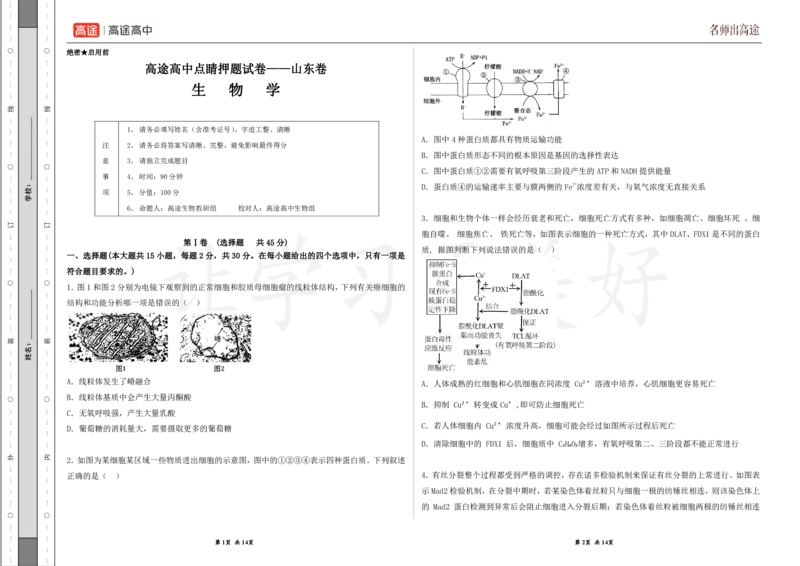 (8.38)-点睛押题卷&mdash;&mdash;山东卷_2024高考押题卷_132024高途全系列_26高途点睛卷_2024点睛密卷-生物
