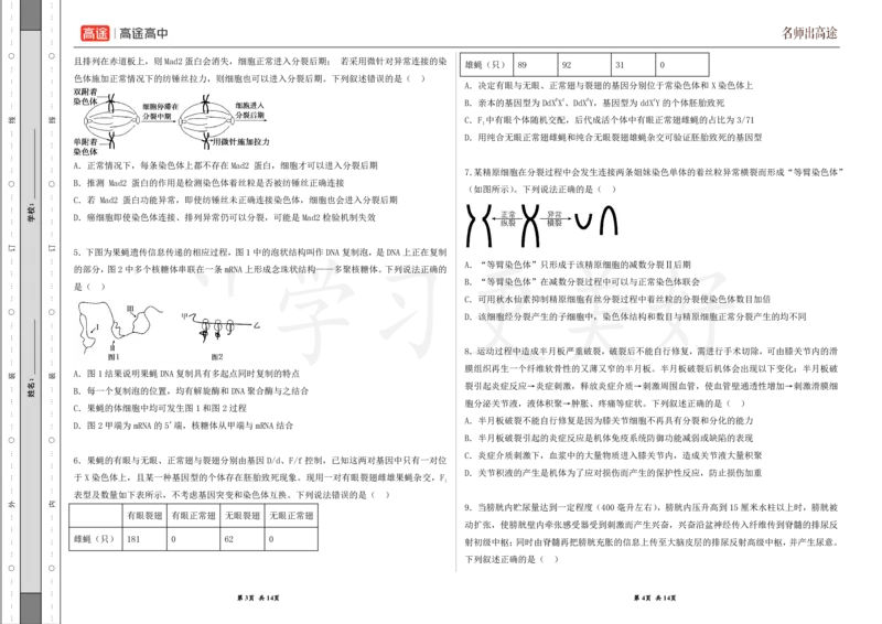 (8.38)-点睛押题卷&mdash;&mdash;山东卷_2024高考押题卷_132024高途全系列_26高途点睛卷_2024点睛密卷-生物