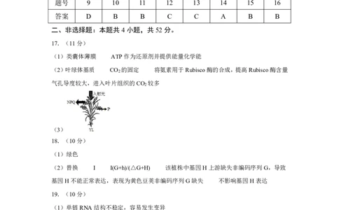 云南省玉溪第一中学2025-2026学年高三上学期适应性测试（一）生物答案_2025年8月_250816云南省玉溪第一中学2025-2026学年高三上学期适应性测试（一）（全科）