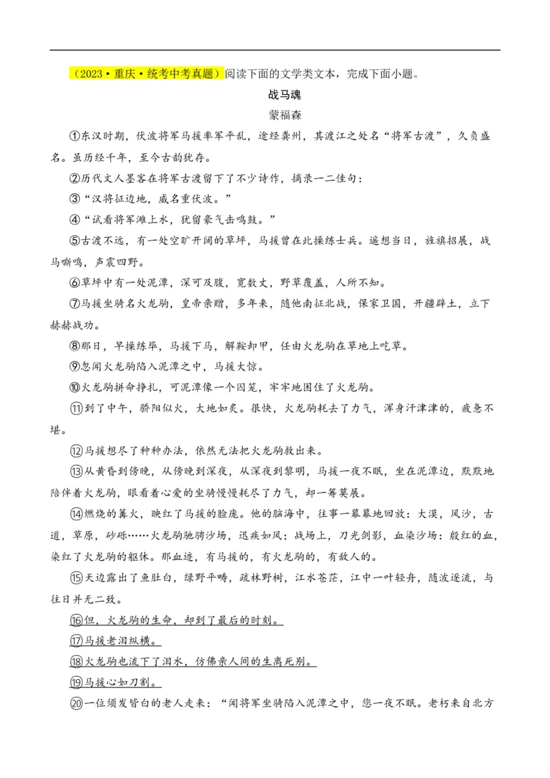 重点难点05小说阅读（七大考点七种技巧）（全国通用）（解析版）_120中考语文全套复习_中考语文复习总复习_二轮复习资料_完2024年中考语文专题练习（全国通用）_重点难点