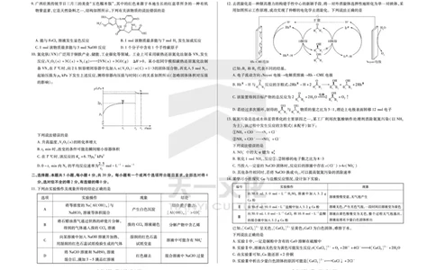 化学齐鲁名校高三五联_2025年4月_250401山东省天一大联考&middot;齐鲁名校教研体2024-2025学年（下）高三年级第五次联考（全科）