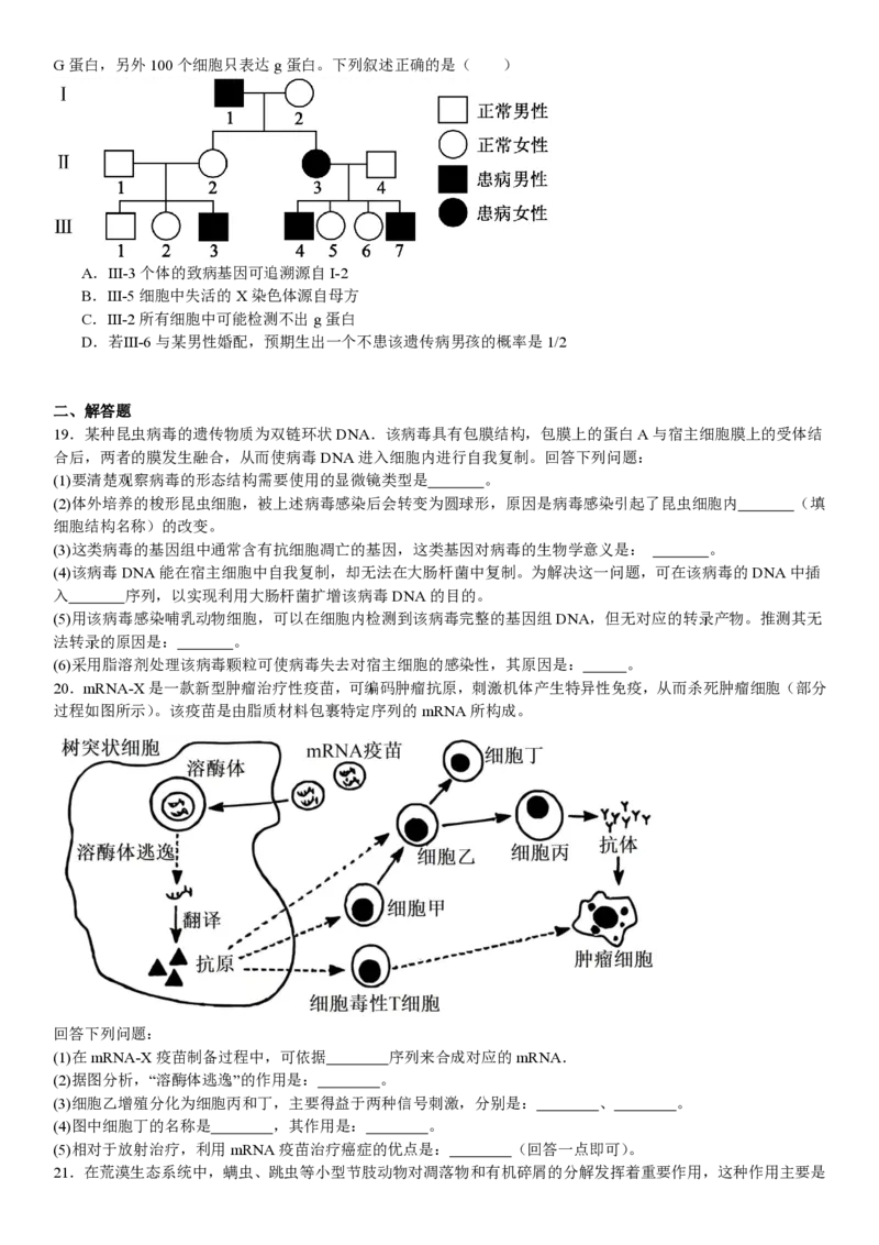 湖北生物-试题_1.高考2025全国各省真题+答案_00.2025各省市高考真题及答案（按省份分类）_7、湖北卷（9科全）_6.生物