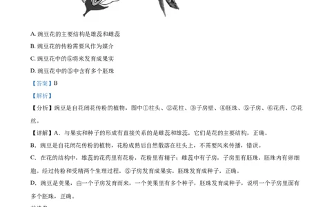 精品解析：湖北省鄂州市2021年中考生物试题（解析版）_中考真题_8.生物中考真题2015-2024年_2021中考生物真题64份_2021湖北_精品解析：湖北省鄂州市2021年中考生物试题