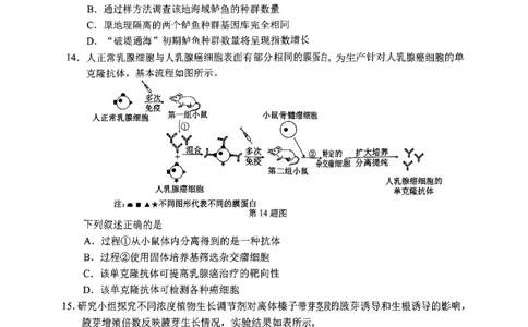 2025年5月浙江省温州市高三下学期三模生物_2025年5月_250512浙江省温州市普通高中2025届高三第三次适应性考试（温州三模）（全科）_温州市普通高中2025届高三第三次适应性考试生物