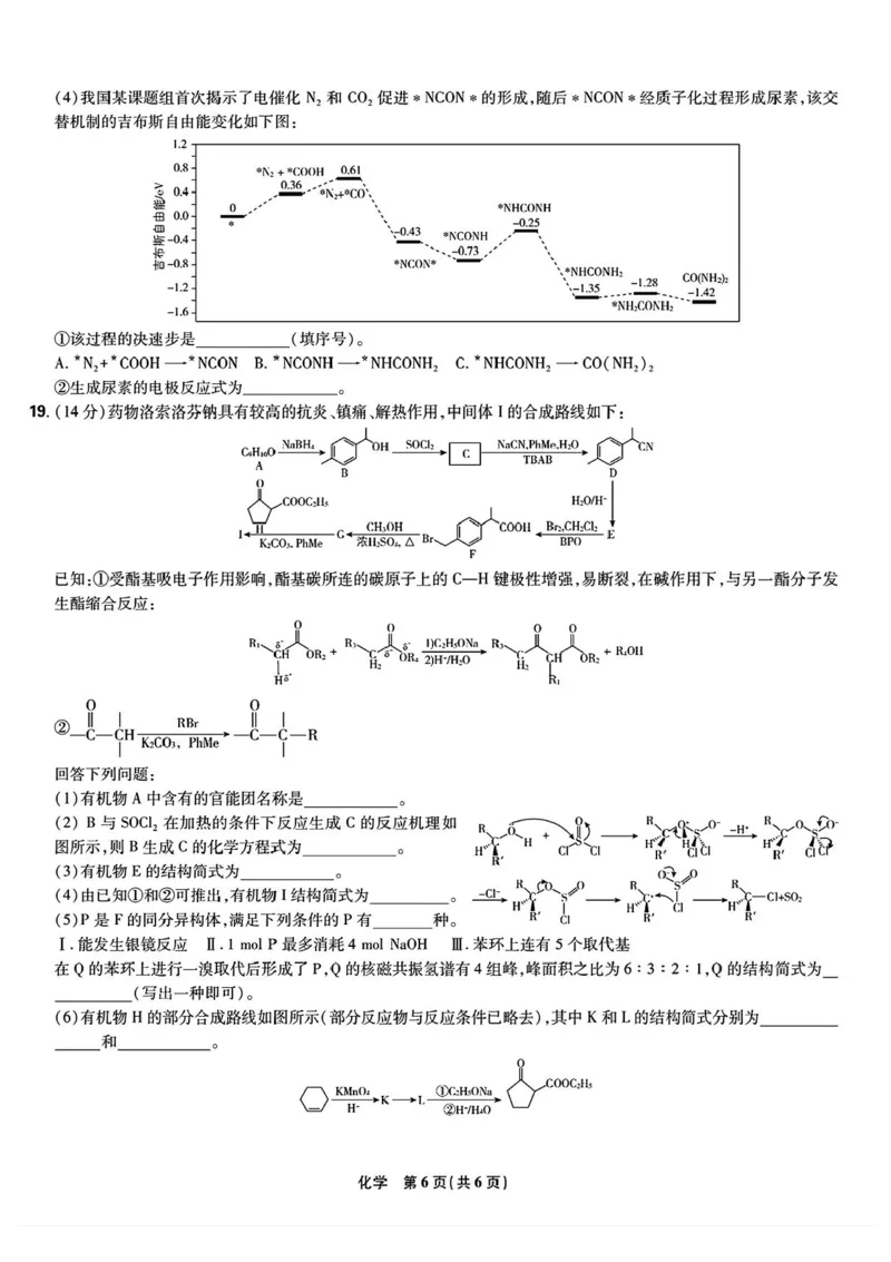 东北三省精准教学联盟2024-2025学年高三下学期3月联考化学试卷+答案_2025年3月_250304东北三省精准教学联考2025届高三3月联考
