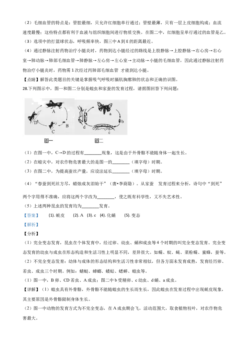 精品解析：湖南省邵阳市2020年中考生物试题（解析版）_中考真题_8.生物中考真题2015-2024年_2020生物真题74份_2020年中考真题解析生物(湖南邵阳卷)精编word版