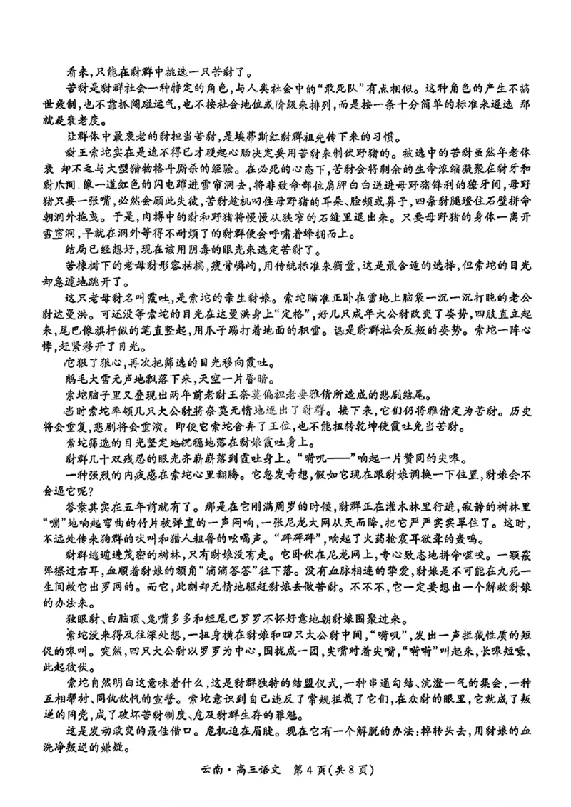 云南民族大学附属高级中学2026届高三联考卷（二）语文_2025年10月_12026年试卷教辅资源等多个文件_251018云南民族大学附属高级中学2026届高三联考卷（二）（全科）